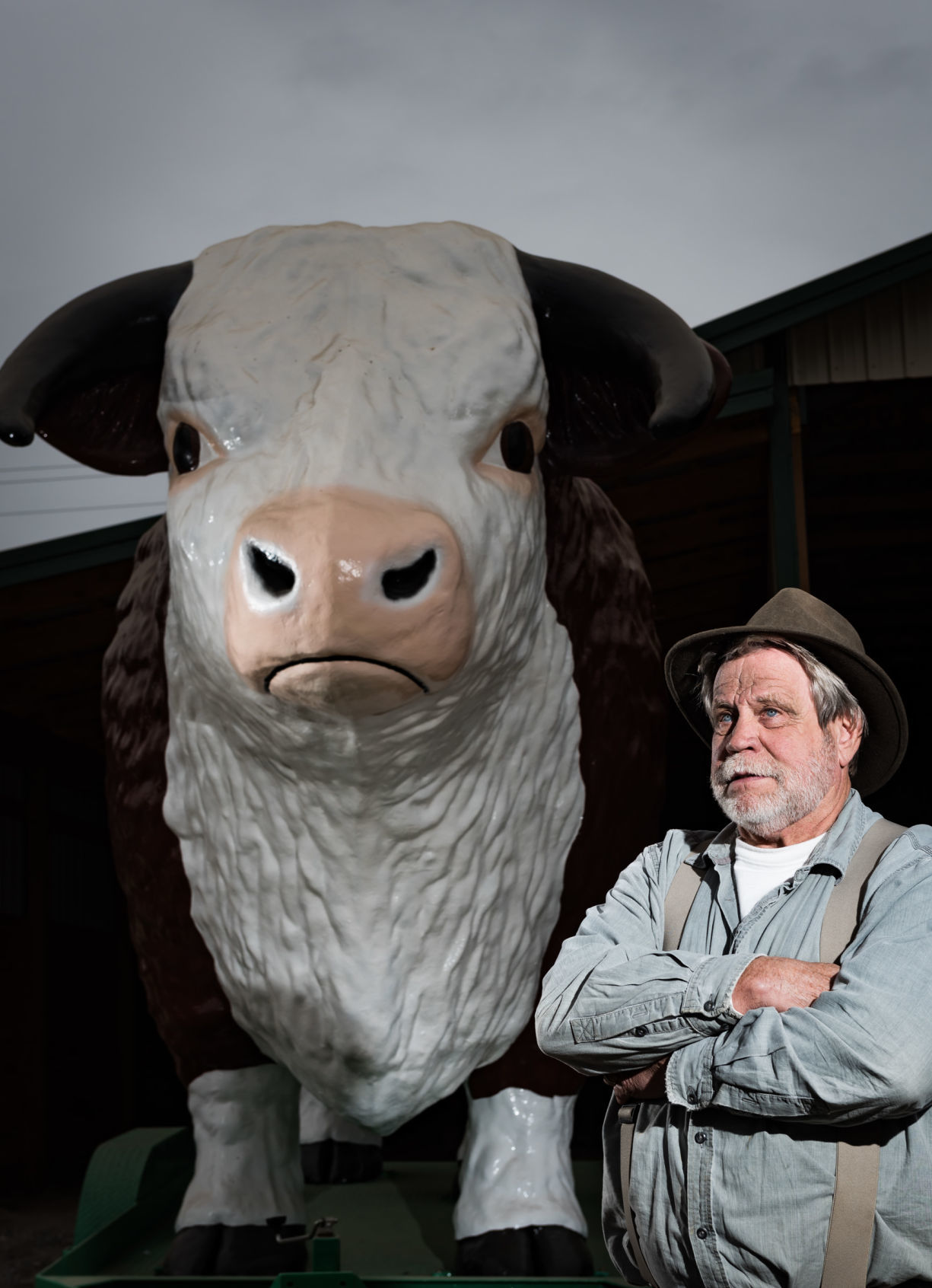 Steve Newsom's Bull Statue